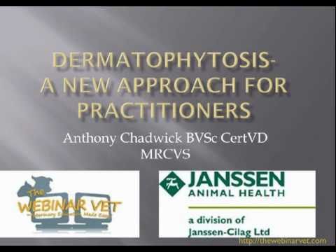 Video: Dermatofytóza (kožní onemocnění) a Vaše zvíře