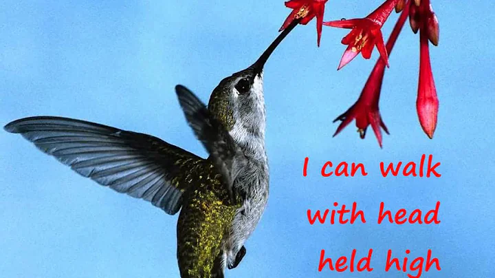 With my Life in Your hands (w/ lyrics)