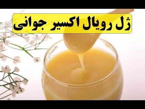 تصویری: چگونه ژل رویال تشکیل می شود