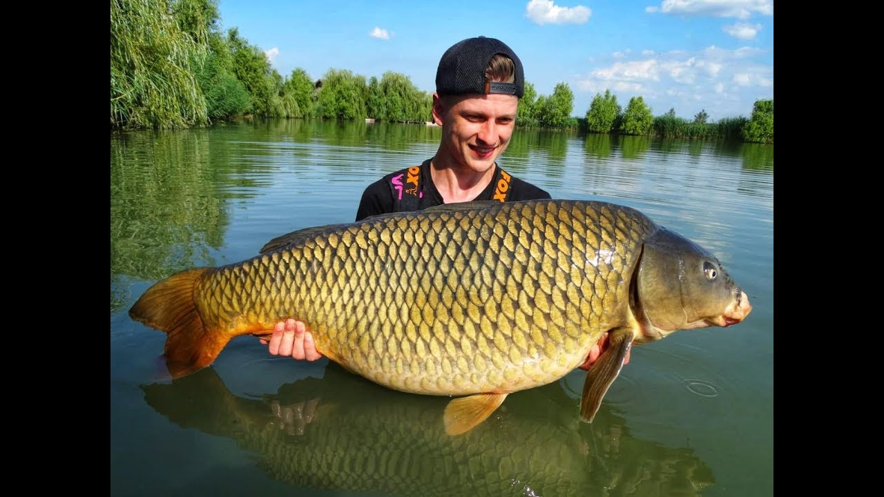 Alex Ardelean pe Lacul Moby Dick - Around Carp Series - Partea 1