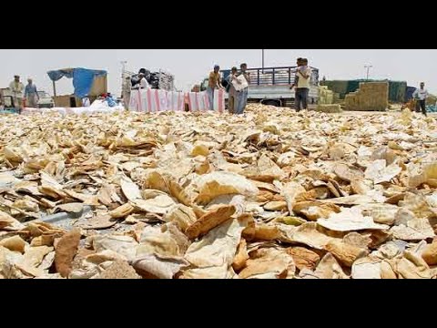 طبعا لا يجوز رمي بقايا الخبز إذا شاهد كيف تستخدمه من اليوم إلى أفكار لن تخطر على البال نهائيا