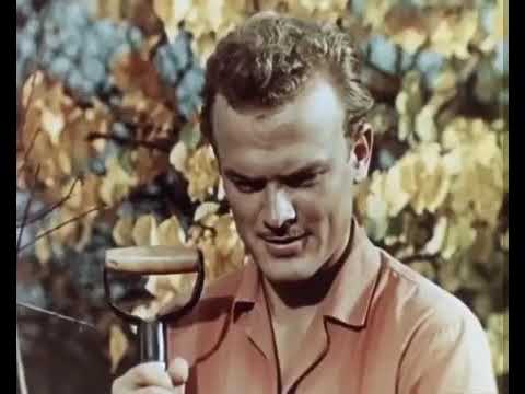 Обещания Мечте навстречу (1963)