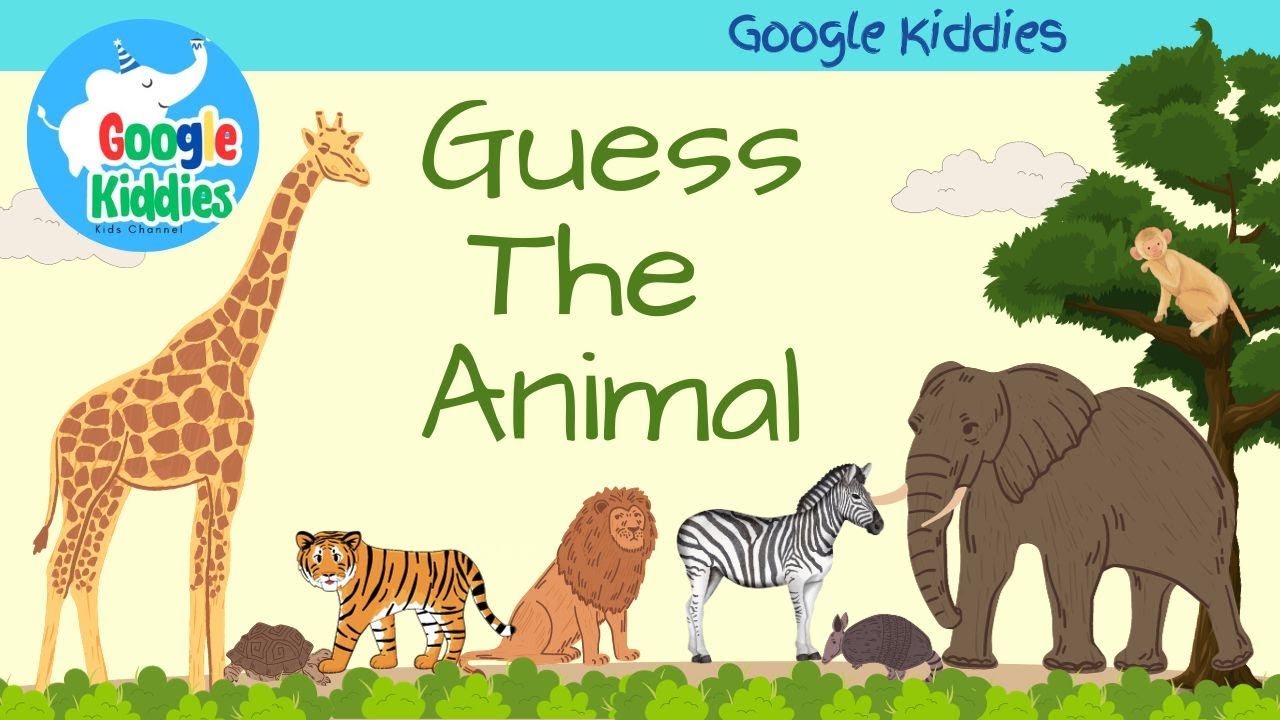 Zoo Quest Challenge: How Many Animals Can You Identify?