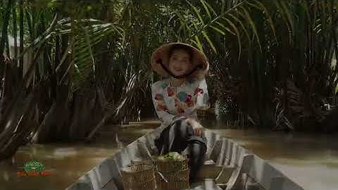 Cá bống dừa um lá cách https://www.youtube.com/channel/UCHD4BA6gd3Ma9d_pFHI3MCg