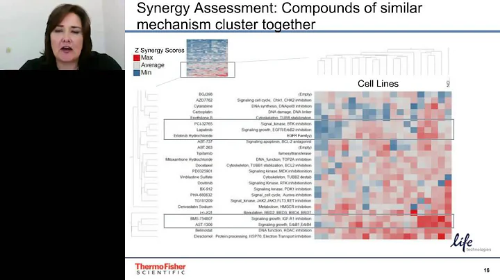 Emma Bowden - Identification of predictive biomarkers from high throughput drug combination... - DayDayNews