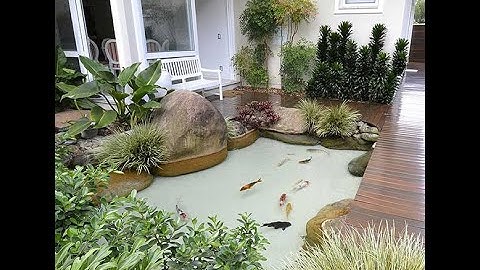 Những tiểu cảnh đẹp nhất mẫu thác nước hồ cá koi