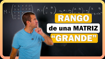 🔡 Cómo calcular el RANGO de una MATRIZ "GRANDE" en función de un Parámetro