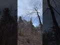 #natura #hiking #nature #wildlife #morning