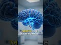 🧠 Menopause & Fear: A Surprising Brain Shift! 🚀