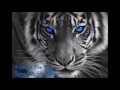 Eye of the tiger remixed by  dj star nitou 2016