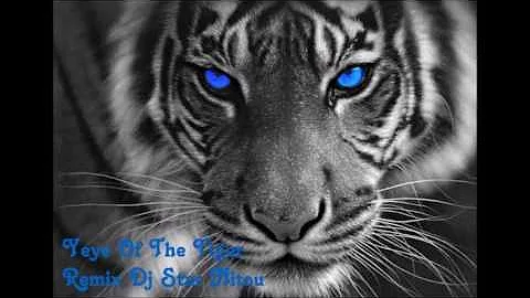 Eye Of The Tiger [Remixed By  Dj Star Nitou] 2016