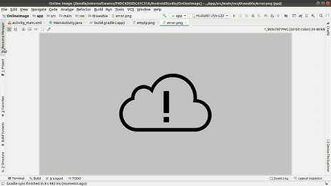 16. Online Images (Picasso and Glide)