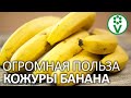 БАНАНОВАЯ КОЖУРА ПОЛЕЗНЕЕ САМОГО БАНАНА! 4 способа применить банановые шкурки в огороде