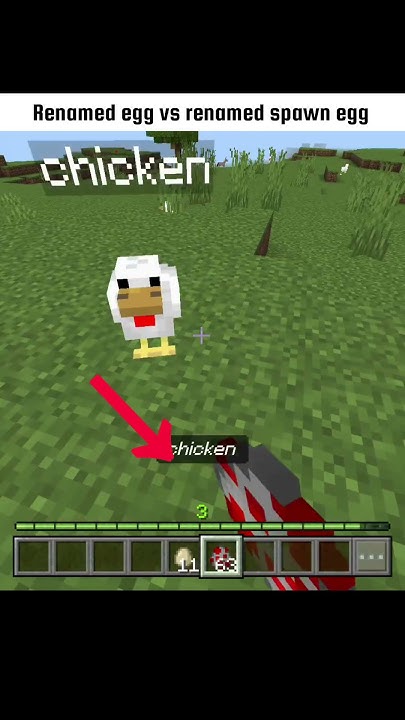 What Happens When You Rename A Chicken Egg And Chicken Spawn Egg what-happens-when-you-rename-a-chicken-egg-and-chicken-spawn-egg