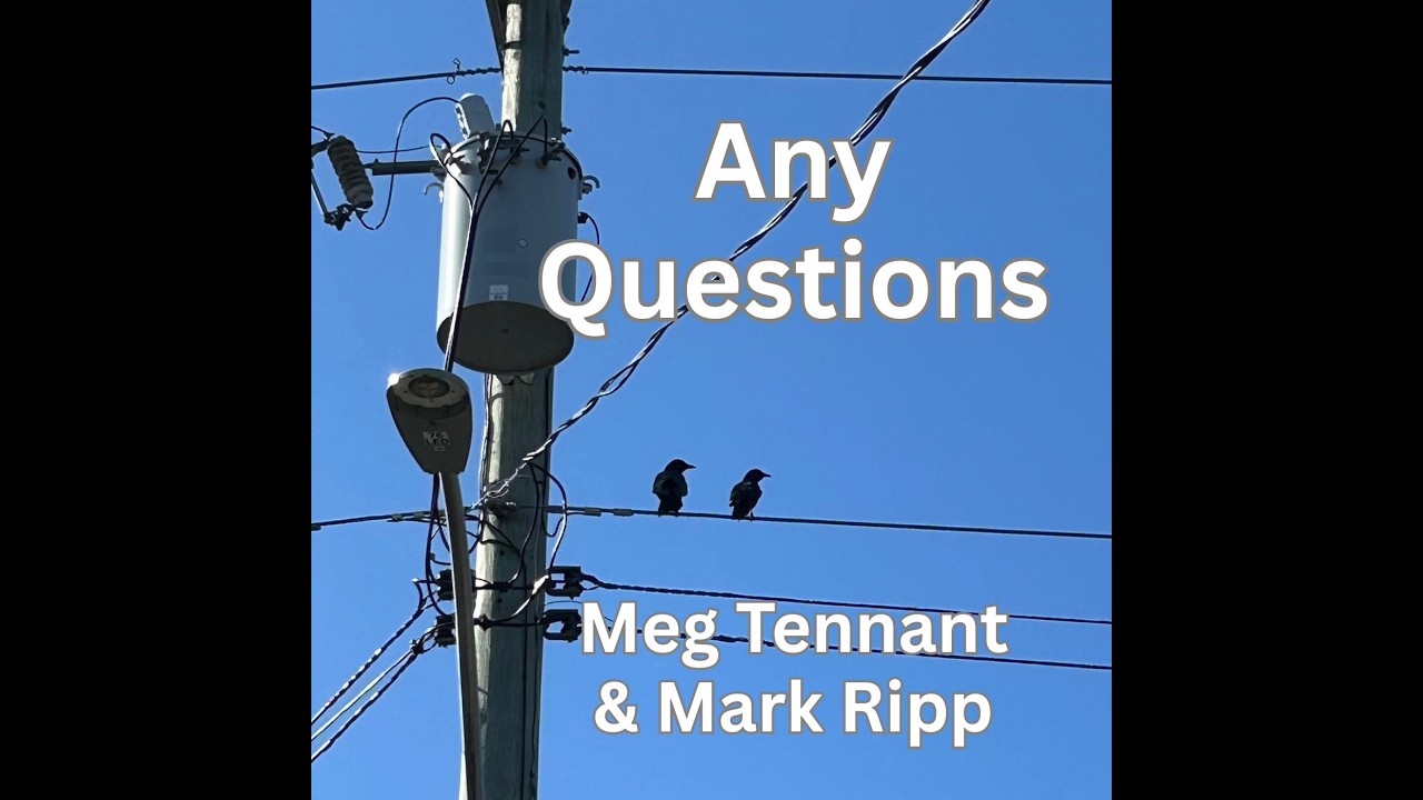Watch "ANY QUESTIONS" by Meg Tennant & Mark Ripp (Lyric Video) on YouTube Watch "ANY QUESTIONS" by Meg Tennant & Mark Ripp (Lyric Video) on YouTube