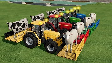 MASSEY FERGUSON WITH COLORS!! COWS AND SHEEP