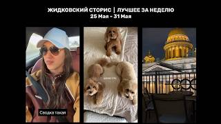 Жидковский сторис. Лучшее за неделю. 25 Мая - 31 Мая
