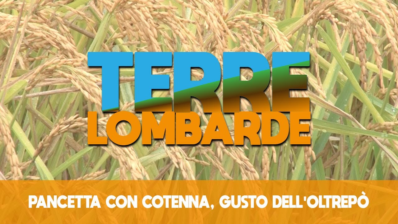 Pancetta con Cotenna, gusto dell'Oltrepò Pavese - Terre Lombarde - S2 PT06