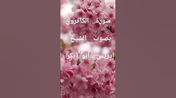 سورة الكافرون بصوت الشيخ إدريس أبو بكر #قران_كريم #راحة_نفسية #اذكار_الصباح_المساء #لايك #اكسبلور