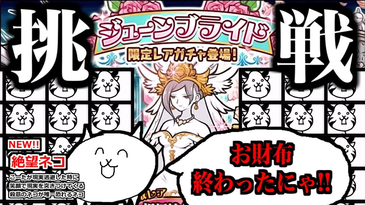 リクエスト❗️　きらめきニャンコ　「瞳はオッドアイ」 YouTube