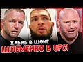 ХАБИБ В ШОКЕ! ШЛЕМЕНКО УХОДИТ В UFC! МИНЕЕВ - ИСМАИЛОВ 3 НЕ БУДЕТ. НОВОСТИ ММА