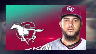 Richelson Peña pasó a Gigantes del Cibao .