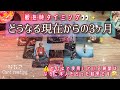 【観た時タイミング】ココからの3ヶ月どんな感じ❓素敵な近未来へのアドバイスを聞きました🍀