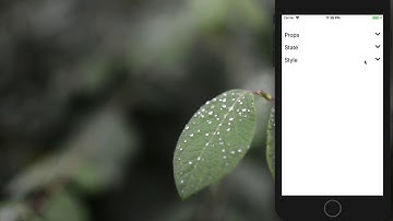 React Native ⚡️ Expandable FlatList Intro