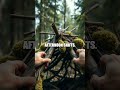 Fresh Perspectives on Survival Skills Through Outdoor Education