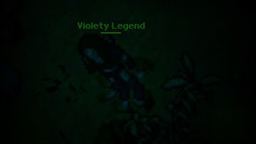 Violety Legend | PLAYER KILLING (Askara, Tibia 7.7)