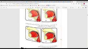 دورة شرح التجويد لمستوى التمهيدية  مخارج  طرف اللسان والشفتين الجزء الأول