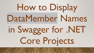 How to Display DataMember Names in Swagger for .NET Core Projects