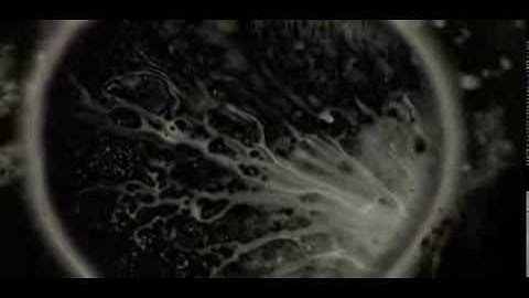 Experimental animation 1 (2010)