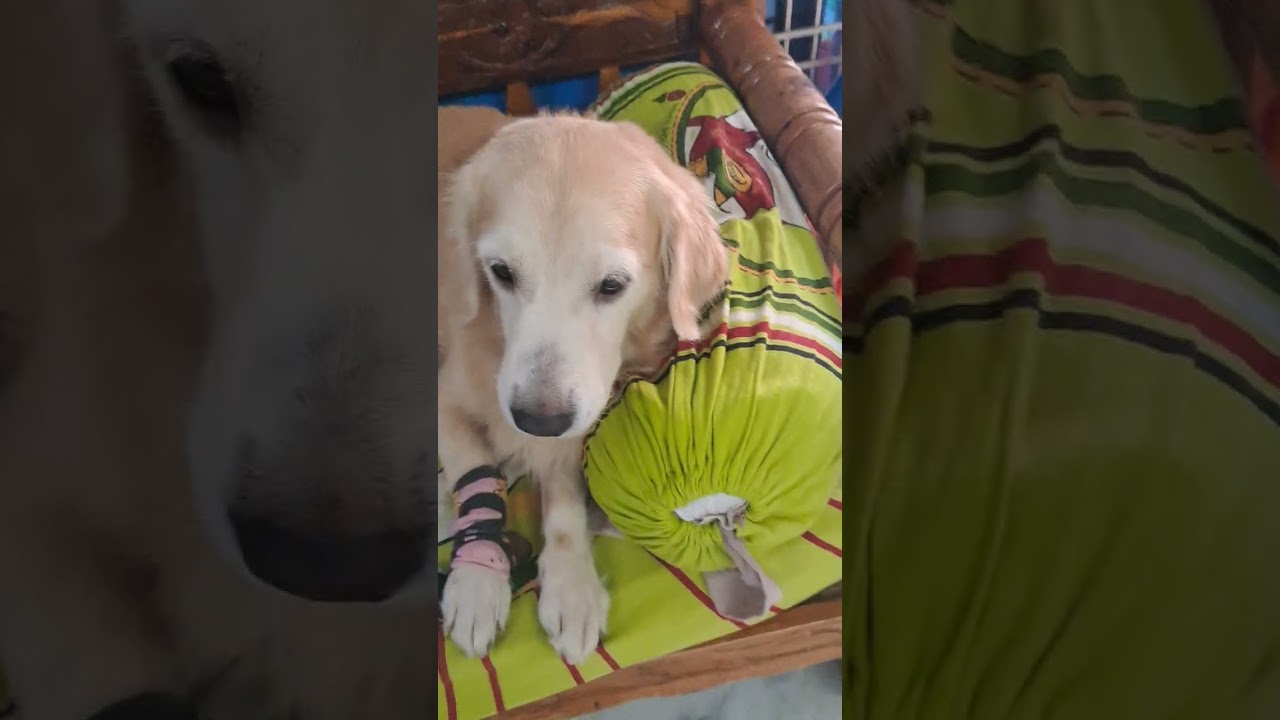 ఊరు వెళ్తున్న అంటే భయం 🤣..