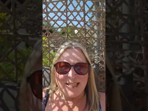 Elaine’s Blog: April video round-up