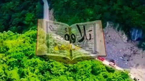 تلاوة خاشعة الله لا اله الا هو الحي القيوم _ الفاتحه_  الله نور السماوات والارض  الشيخ ياسر الدوسري