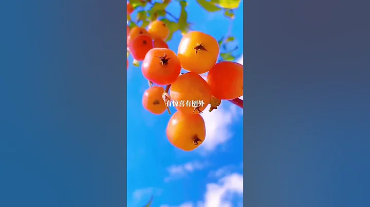 #二十四节气：立秋，秋天的第一个祝福送给你..... - 天天要闻