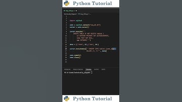 Creating SQLite Databases With Python | Python Tutorial