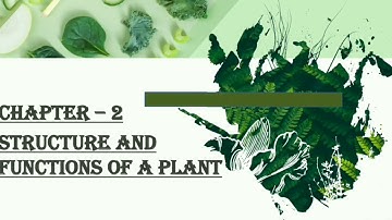 Class 3 | Science | Chapter 2 | Structure and Function of a Plant | Tarik Anwar Sir | SNCS