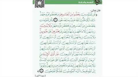 سورة النور ٣٠-٣١ للقارئ ميثم التمار🍃