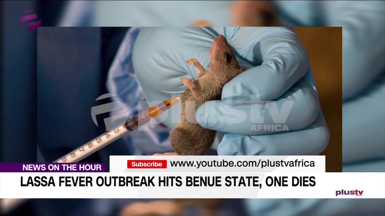 nigeria latest news today now LASSA Fever Outbreak Hits Benue State, One Dies