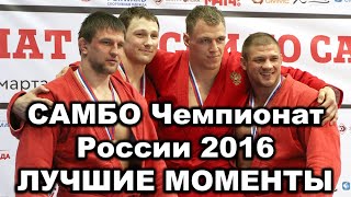 САМБО Лучшие моменты Золотая коллекция HIGHLIGHTS