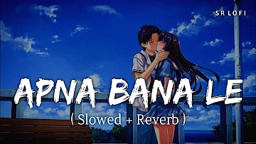 Apna Bana Le - Lofi (Slowed + Reverb) | Arijit Singh, Sachin-Jigar | SR Lofi