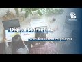 Begin your career in Digital Marketing.

Gain real work experience from a London-based agency through our exclusive practical training programme. 

Learn first hand what it takes to be a Digital Marketer.
Use the same tools used by industry professionals. Understand and experience behind the scenes on how brands and influencers plan and prepare great content and how it leads to monetisation.

Practical training modules include:
Social Media Marketing, SEO Marketing, YouTube Marketing, Email Marketing, Google Analytics and Reporting.

Enquire with us today.
Tel: 020 3880 7645
Email: digital.marketing@kbmgroup.co.uk
https://www.kbmmediasolutions.com