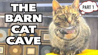 Creating the Ultimate BARN CAT PLAYHOUSE