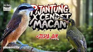 MASTERAN TEMBAKAN KASAR   JEDA TERAPI AIR