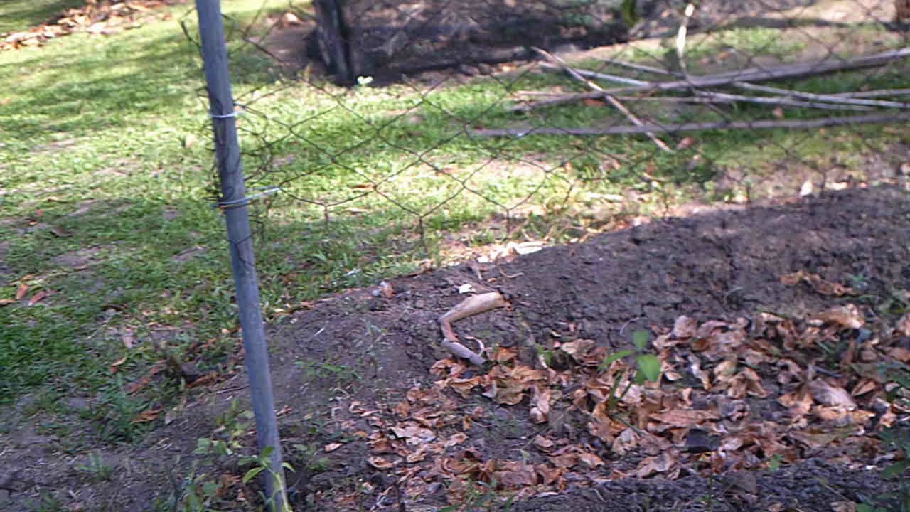 Starting Preparation for the Next Growing Season.