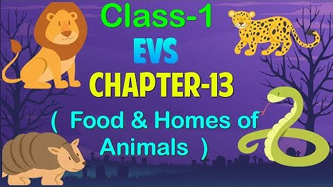 #class1||EVS |Chapter-13||Food & Homes of Animals||Cordova smart learning with Vijyoaccounts