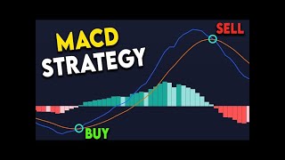 BEST MACD Trading Strategy [86% Win Rate] MACD Indicator Explained  in #trading