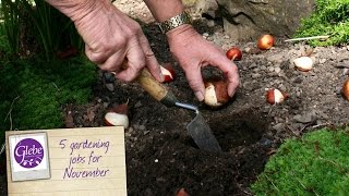 5 gardening jobs for November